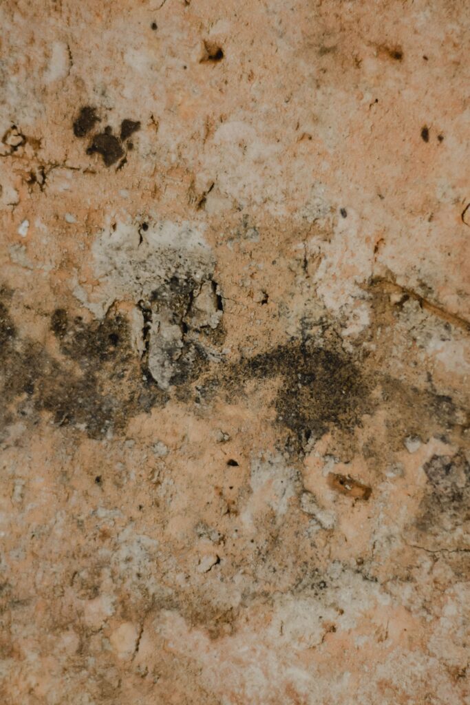 Nahaufnahme einer feuchten, beschädigten Putzwand mit dunklen Schimmelflecken